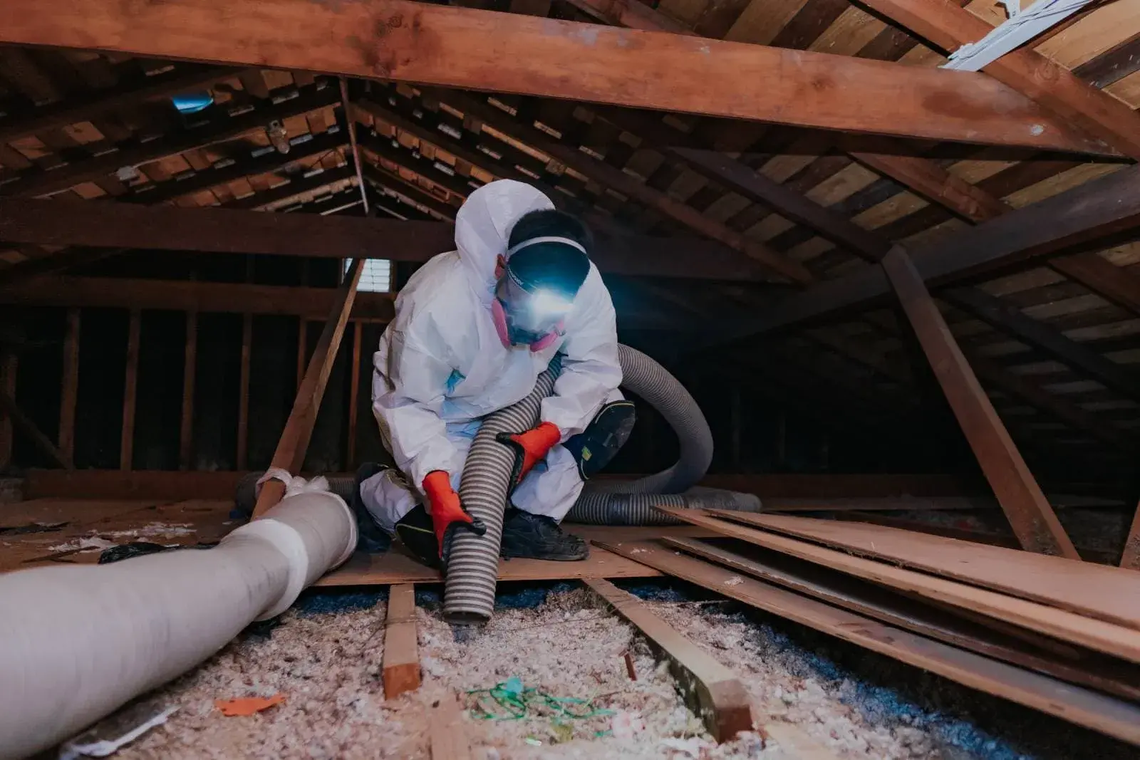 Attic Cleaning